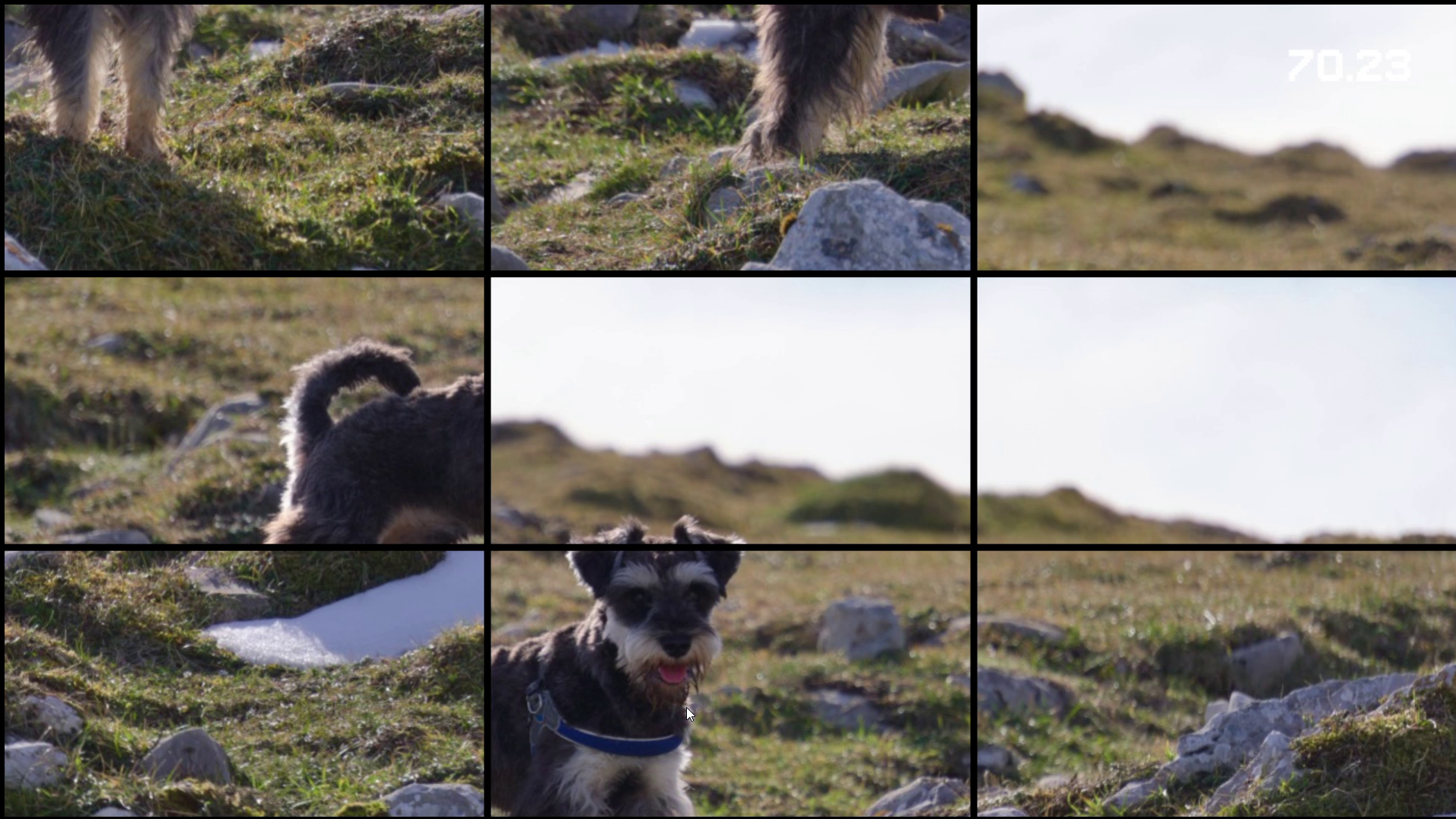 {lang === 'en' ? 'Game screenshot showing a real-life photo puzzle' : 'Captura del juego mostrando un puzle con una foto real'}